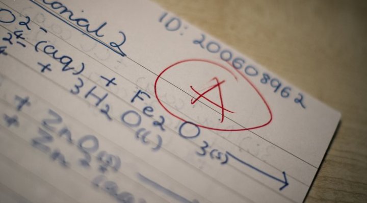 6263897021_34bfa46a90_b-736x0_q85